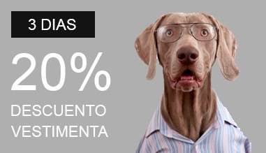 20% vestimenta x3